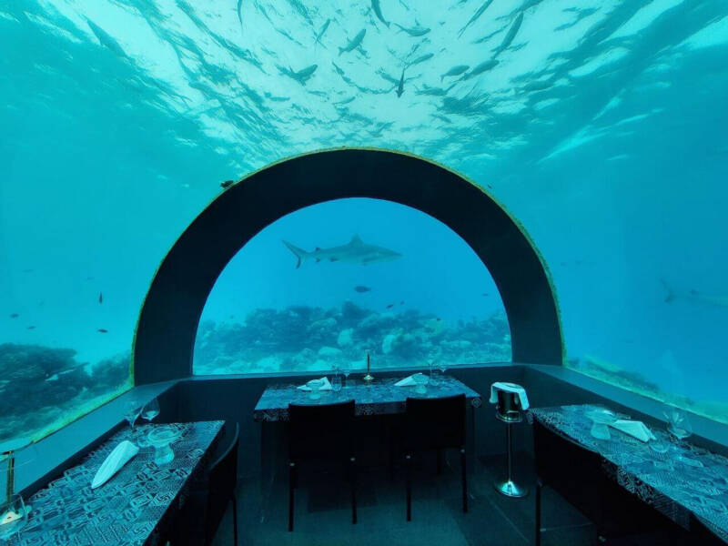 Летом &mdash; на Мальдивы: что там сейчас интересного для россиян